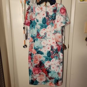 New with tags, Floral Scuba Dress